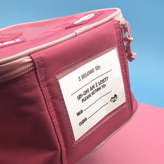 Le plus populaire du marché japonais sacs isothermes isolation thermique pique-nique déjeuner sac à bas prix pour enfants adultes isolé femmes fourre-tout étanche coloré boîte à lunch