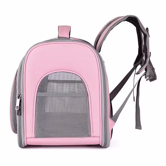 Sac à dos transparent portable pour animaux de compagnie avec couverture dorée