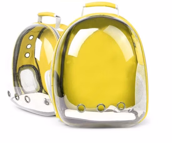 Sac à dos de transport pour animaux de compagnie transparent et transparent