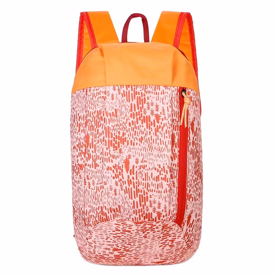 Sac léger de loisirs d'adolescent de sac à dos d'ordinateur portable de voyage d'étudiant de mode fait sur commande